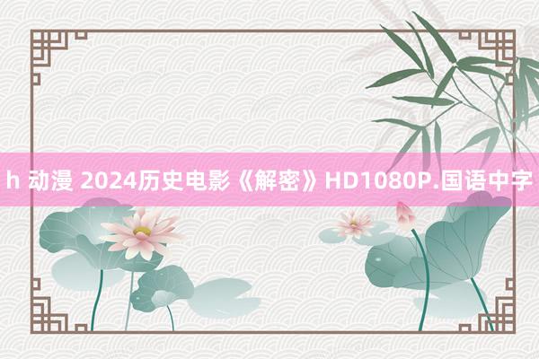 h 动漫 2024历史电影《解密》HD1080P.国语中字