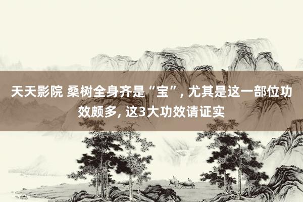 天天影院 桑树全身齐是“宝”， 尤其是这一部位功效颇多， 这3大功效请证实