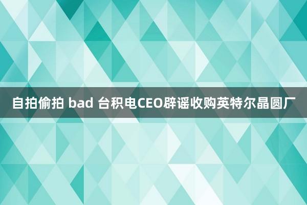 自拍偷拍 bad 台积电CEO辟谣收购英特尔晶圆厂