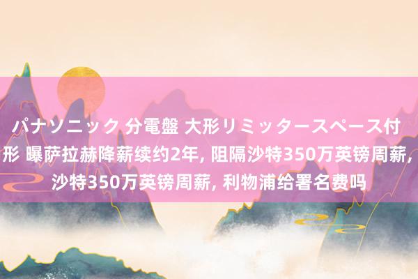 パナソニック 分電盤 大形リミッタースペース付 露出・半埋込両用形 曝萨拉赫降薪续约2年， 阻隔沙特350万英镑周薪， 利物浦给署名费吗